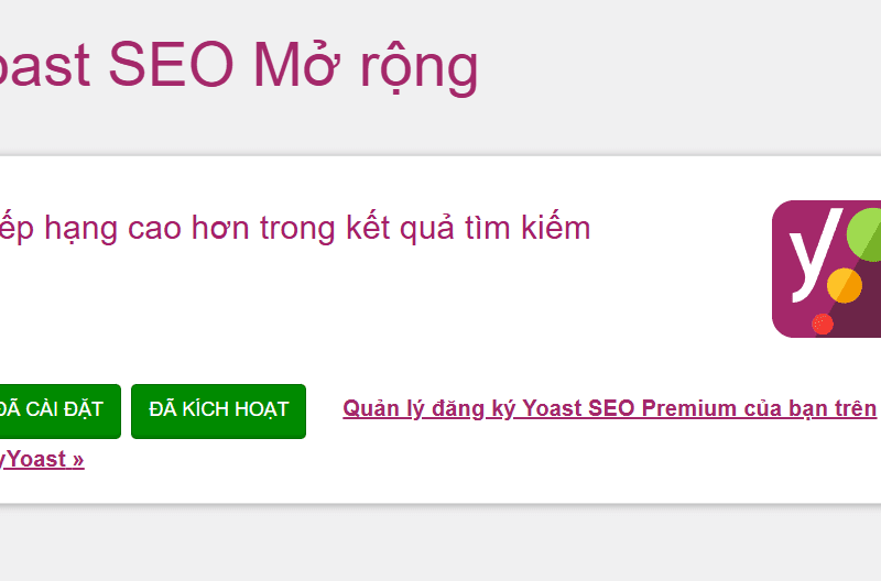 Yoast SEO Premium - phiên bản cao cấp của Yoast SEO, một plugin SEO được yêu thích và được sử dụng phổ biến cho trang web WordPress.