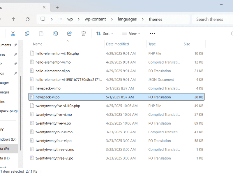 Hướng dẫn dịch theme và plugin WordPress sang tiếng Việt